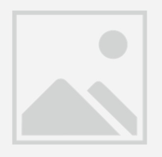 Therapist profile image placeholder